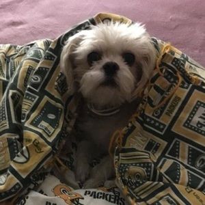 Meet your Posher, Mary